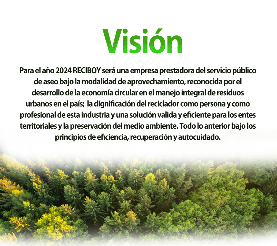 vision
